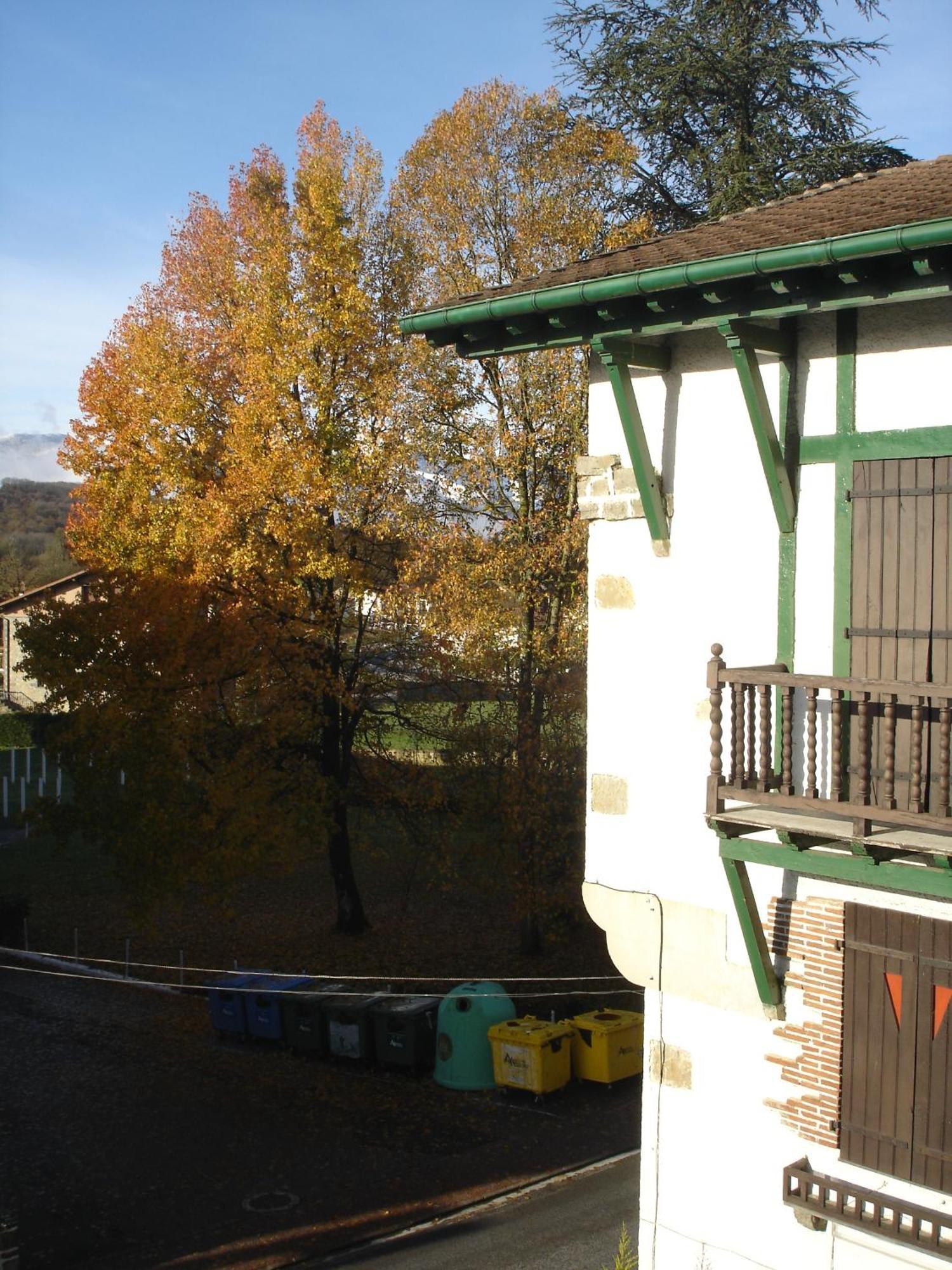 Hostal Ayestaran II ليكونبيري المظهر الخارجي الصورة